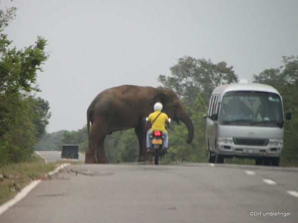 Roadtrip, Southern Sri Lanka (25)