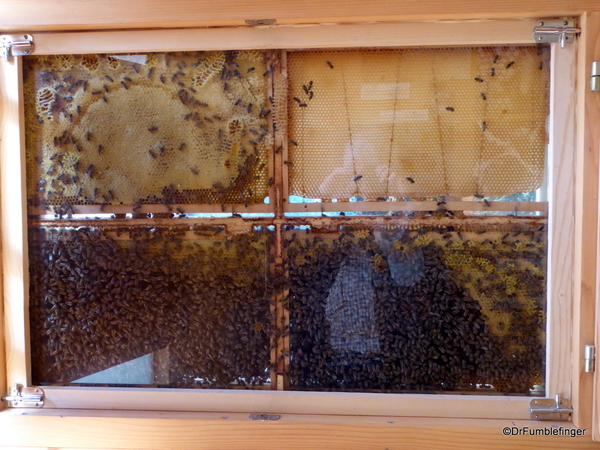 10 Radovljica Bee Keeping Museum (45)