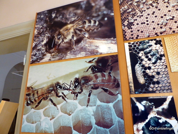 14 Radovljica Bee Keeping Museum (41)