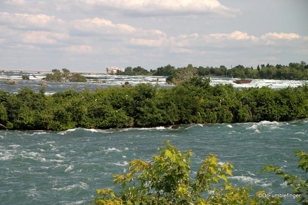 00 Niagara River and Horseshoe Falls (7)