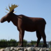 Mac the Moose Jaw, Saskatchewan