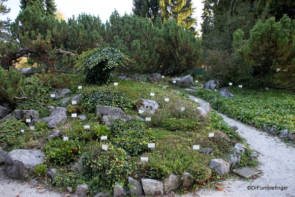 Ljubljana Botanical Garden (34)