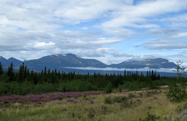 04b Trip to Kluane - Alaska Highway (5)