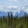 Trip to Kluane - Alaska Highway