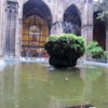 Fountain in the Cloister, Barcelona Cathedral