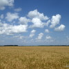 Prairie crops, Manitoba
