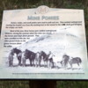 Midland Provincial Park