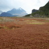 Ainsworth Bay -- Tierra del Fuego