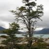 Ainsworth Bay -- Tierra del Fuego