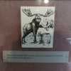Roosevelt Bull Moose Party