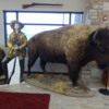 13 Buffalo Bill Cultural Center, Oakley (23)