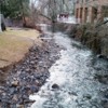 Swan Creek