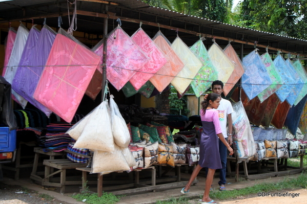 05 Roadside markets Trip to Nuwara Eliya, Sri Lanka (16)