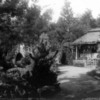 1024px-Japanese_Tea_Garden,_San_Francisco_1904_cph.3b13301