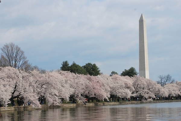 Washington-Monument3