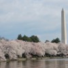 Washington-Monument3