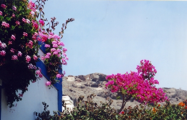 Gran Canaria 2001