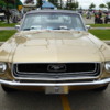 1968 Ford Mustang, Calgary