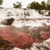 Colombia-CanoCristales-102