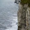 Cliffs at Bempton RSPB.