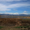 Long's Peak, viewed from McIntosh Lake