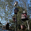 Birdhouses of Tivoli (6)
