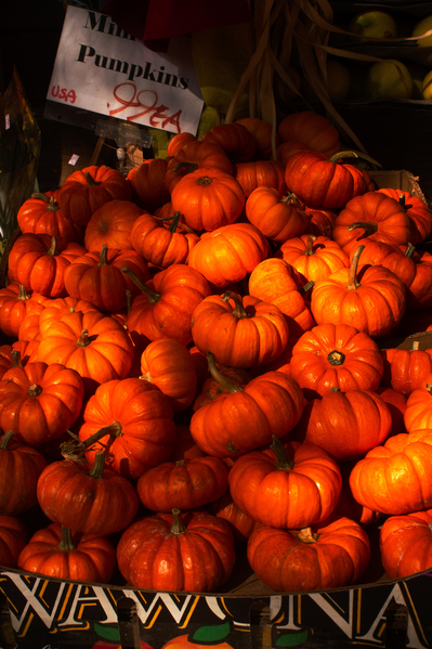 mini-pumpkins