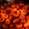 mini-pumpkins