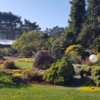 Mendocino Coast Botanical Gardens: Mendocino Coast Botanical Gardens