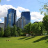 Views of downtown from Prince's Island Park, Calgary