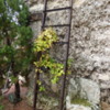 Tower at the Coral Castle, Florida