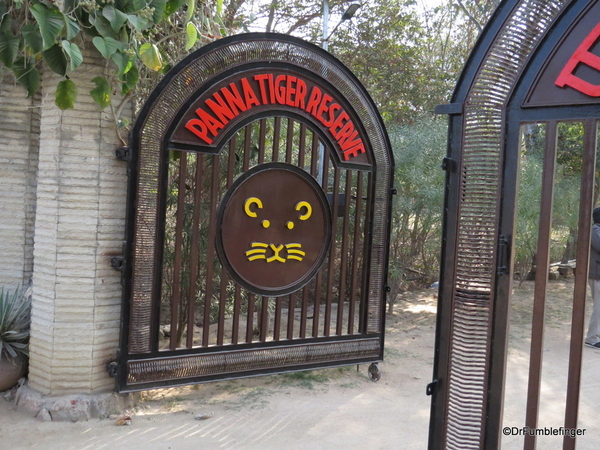 01 Panna Tiger Reserve