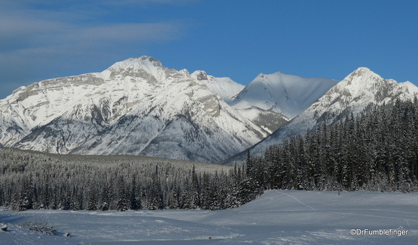 11 Banff area Christmas (4)