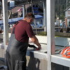 00 Cleaning the Catch, Seward Harbor