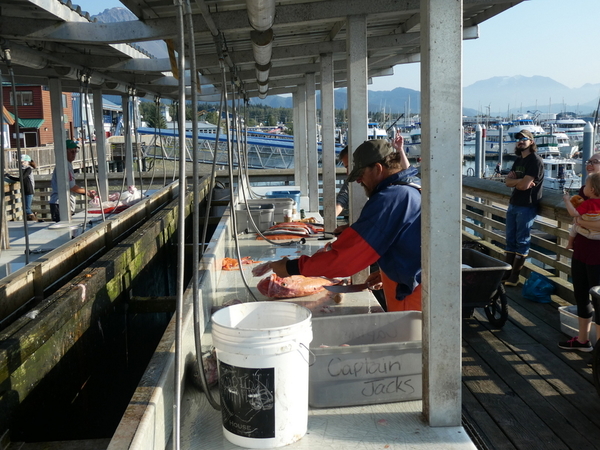 01 Cleaning the Catch, Seward Harbor