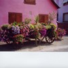 Niedernai Flower Cart