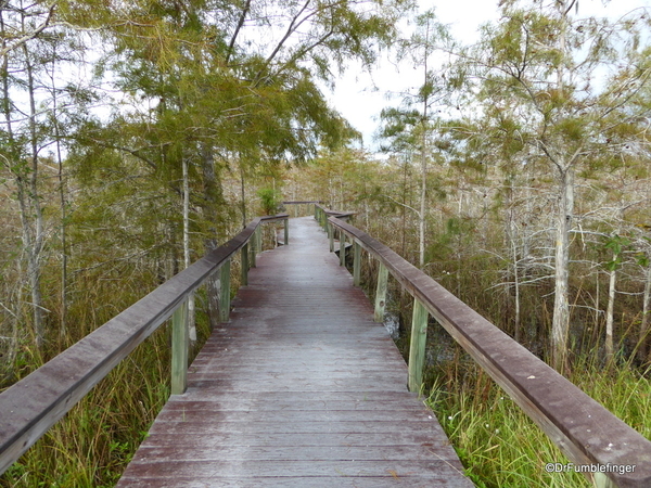 03 Pinelands Trail, Everglades