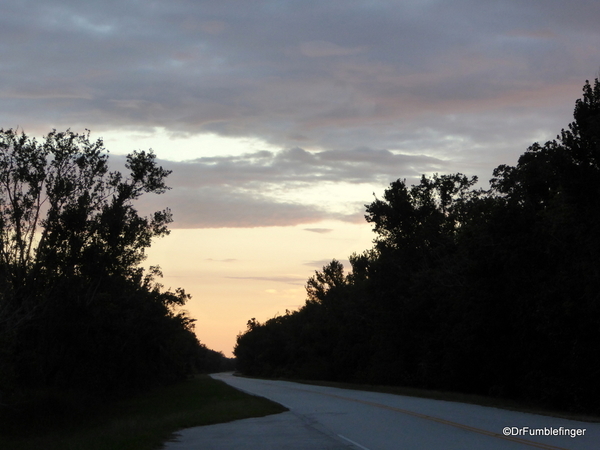 05 Everglades sunset