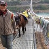 Suspension bridge with donkeys