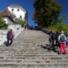 Ascending 99 stone steps to Bled Island
