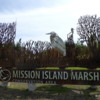00 Mission Island Marsh
