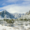 Snow in the Mohave Desert