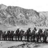 20_Mule_Team_in_Death_Valley (Public Domain)