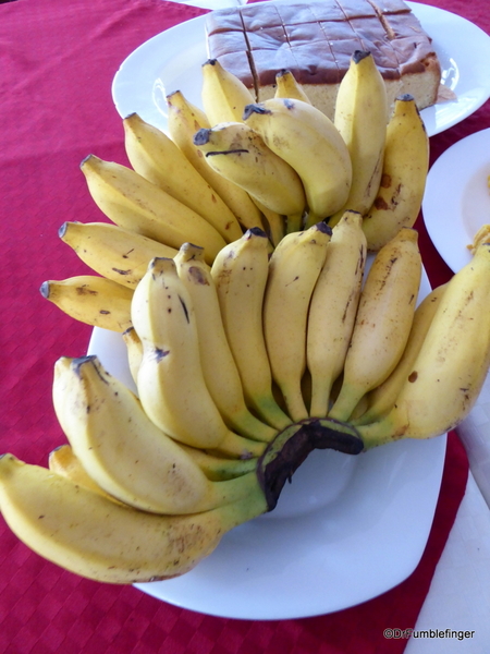 Bananas. New Years and Hotel, Polonnaruwa (15)