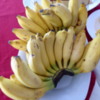 Bananas.  New Years, Polonnaruwa)
