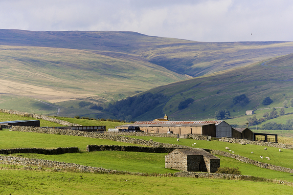 Yorkshire Dales - farm and hills .