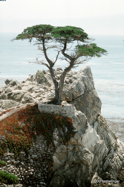 07 Monterey 07-1996 (7)