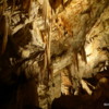 16 Postojna Cave