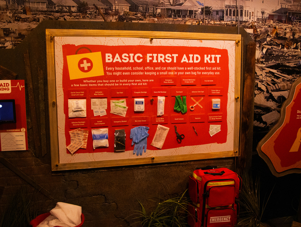 NYSCI survival first aid kit