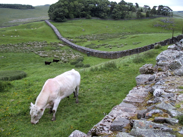 UK 231 - Hadrian's Wall - Housestead Fort 4